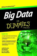 Big Data for Dummies 