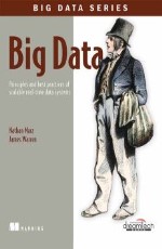 Big Data: Principles and Best Practices of Scalable Real-Time Data Systems