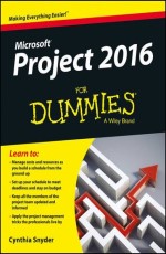 Project 2016 for Dummies