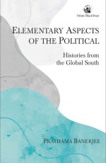 Elementary Aspects of the Political: Histories from the Global South