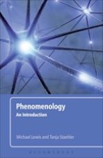 Phenomenology: An Introduction