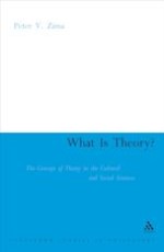 What Is Theory?: Cultural Theory as Discourse and Dialogue