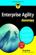 Enterprise Agility for Dummies &#160;