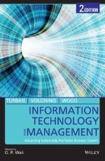 Information Technology for Management, 2ed &#160;