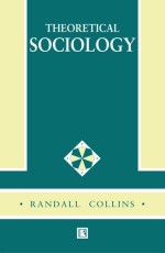 THEORETICAL SOCIOLOGY - Hardback