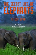 The Secret Life of Elephants