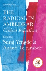 Penguin 35 Collectors Edition: The Radical in Ambedkar