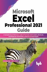 Microsoft Excel Professional 2021 Guide