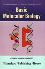 Basic Molecular Biology