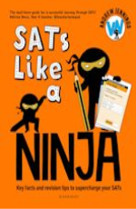 SATs Like a Ninja