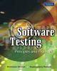 Software Testing : Principles and Practice