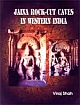 Jaina Rock-Cut Caves in Western India (In 2 Volumes)