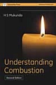 Understanding Combustion 