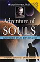 Adventures of Soul - Case Studies of Life Between Lives