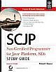  	 SCJP SUN CERTIFIED PROGRAMMER FOR JAVA PLATFORM, SE6 STUDY GUIDE:EXAM CX-310-065