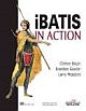  IBATIS IN ACTION