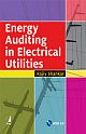 Energy Auditing in Electrical Utilities