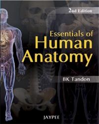 Essentials of Human Anatomy 2nd Edition