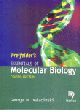 Freifelder`s Essentials of Molecular Biology , Fourth Edition 