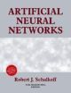 Artificial Neural Networks 