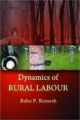 Dynamics Of Rural Labour:  A Study of Small Holding Rubber Tappers in Kerala