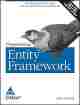  	 Programming Entity Framework