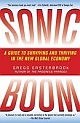 Sonic Boom: Globalization at Mach Speed (Paperback) 