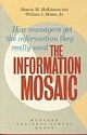 The Information Mosaic