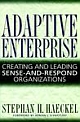 Adaptive Enterprise: Creating and Leading Sense-And-Respond Organizations