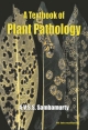 A Textbook of Plant Pathology     