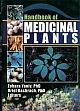 Handbook of Medicinal Plants 