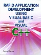 Rapid Application Development Using Visual Basic And Visual C++  C++ 