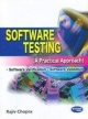 Software Testing 