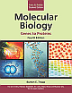 Molecular Biology: Genes to Proteins, 4th edition 