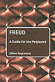  Freud A Guide for the Perplexed 