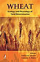 Wheat Ecology and Physiology of Yield Determination