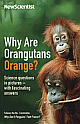  Why are Orangutans Orange?