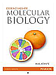 Essentials of Molecular Biology