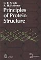 Principles of Protein Structure