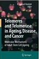 Telomeres and Telomerase in Aging, Disease, and Cancer