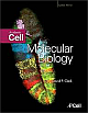 Molecular Biology: Academic Cell (Hb)