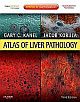 Atlas of Liver Pathology : Expert Consult - Online and Print 3rd Edition 