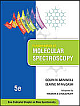  Fundamentals of Molecular Spectroscopy