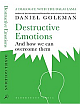 Destructive Emotions: A Scientific Dialogue with the Dalai Lama