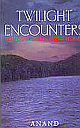 Twilight encounters: The fourth nail and other stories