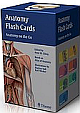 Anatomy Flash Cards: Anatomy on the Go 