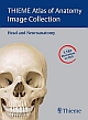 THIEME Atlas of Anatomy Image Collection: Head and Neuroanatomy