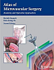 Atlas of Microvascular Surgery: Anatomy and Operative Approaches 2nd Edition 