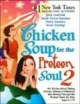 Chicken Soup For The Preteen Soul 2