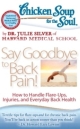 CHICKEN SOUP FOR THE SOUL: SAY GOODBYE TO BACK PAIN - HARVARD MEDICAL SCHOOL